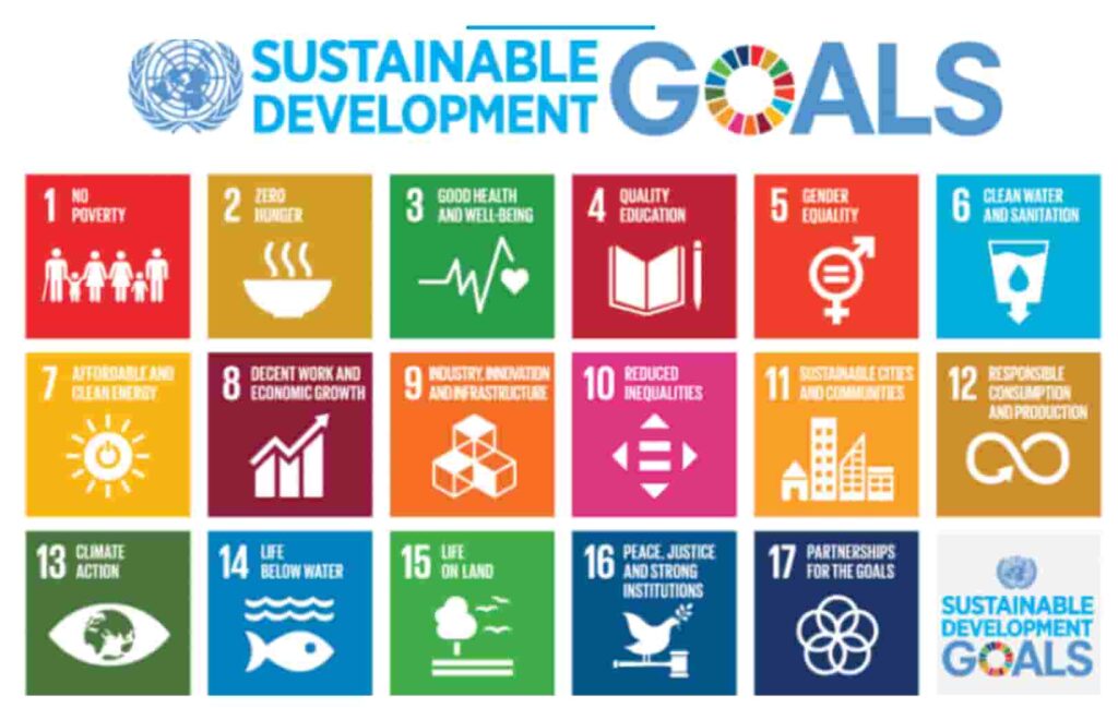 Sustainable Development Goals and impact investing