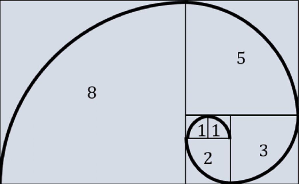 The golden spiral/Fibonacci spiral
