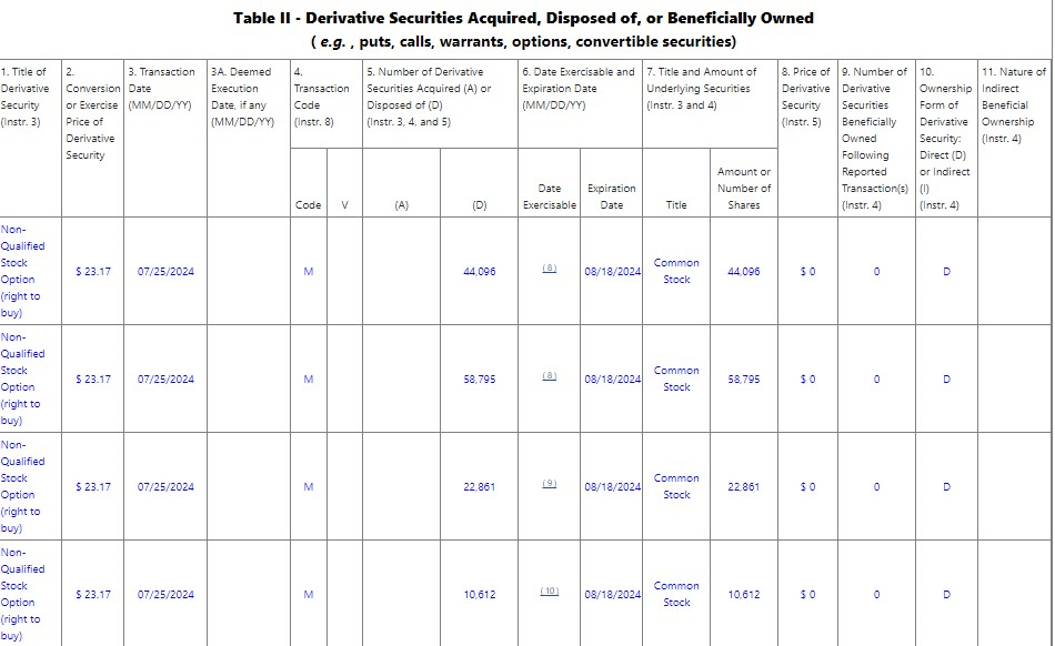 Denholm's Tesla stock options. Source: SEC
