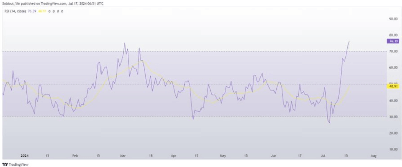 XRP price action in 2024. Source: Crypto News (CoinGape)