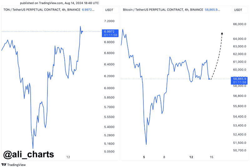 Toncoin vs. Bitcoin price performance. Source: Ali Martinez