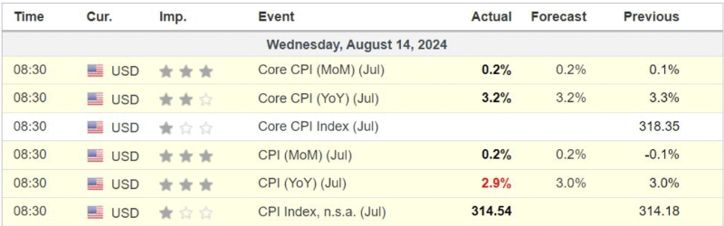 Consumer Price Index (CPI) results for July. Source: Michael Burry Stock Tracker