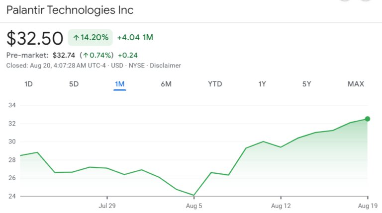Palantir Stock Price May 24 2025 Meta AI predicts Palantir stock price for 2025