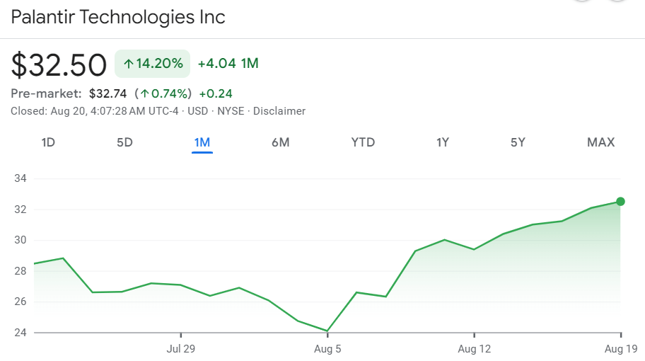 Palantir stock price 30-day chart. Source: Google Finance