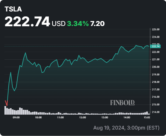 TSLA stock 24-hour price chart. Source: Finbold
