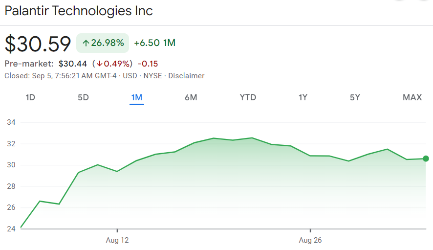 Palantir stock price 1-month chart. Source: Google Finance