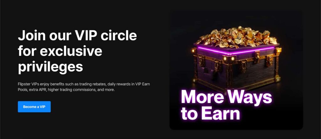 Flipster VIP program