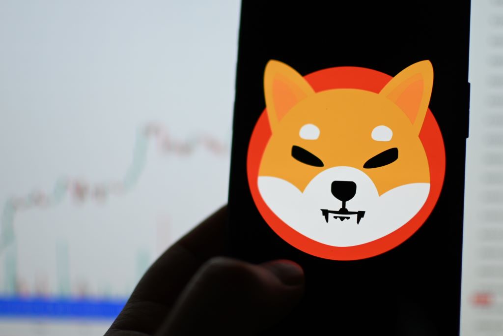 SHIB price rockets 10% as Shiba Inu adds $1 billion in a day