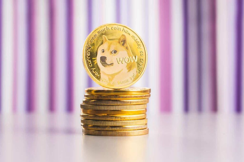 Finance guru Raoul Pal says DOGE is 'harder money than Bitcoin'