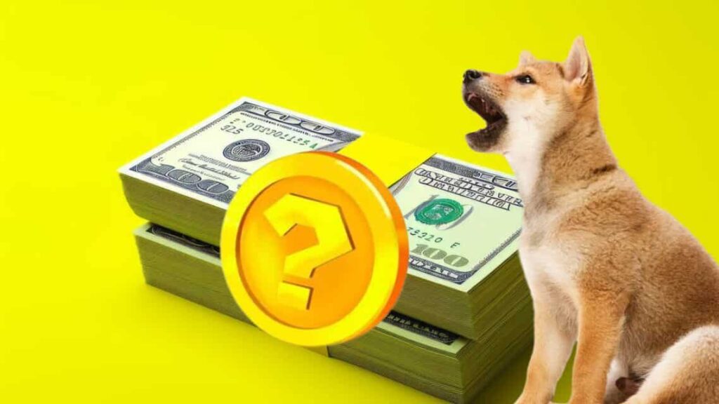 Searching for the Next Big Thing Like DOGE? XYZ Coin Could Be the Ultimate Find!