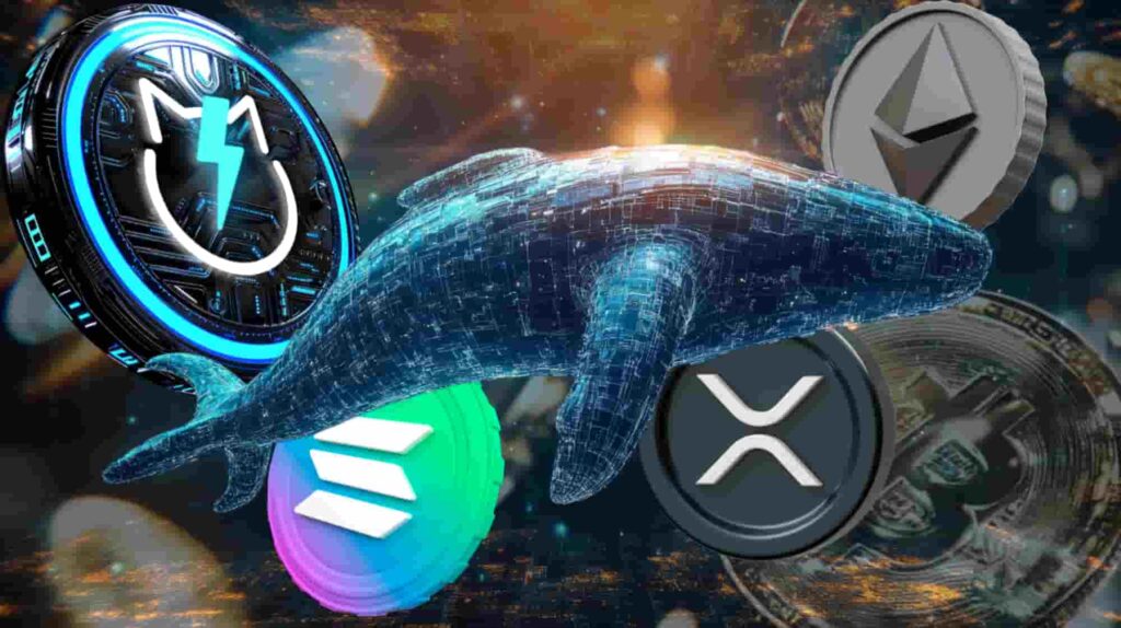 What Crypto Whales Know About Solana, Ethereum, XRP, and JetBolt That Others Are Missing Out On