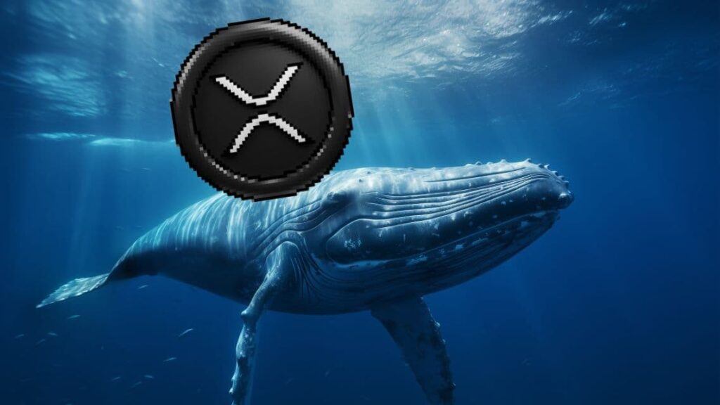 XRP Whales Flock to XYZ—What Do They Know About This 19,000% Growth Coin