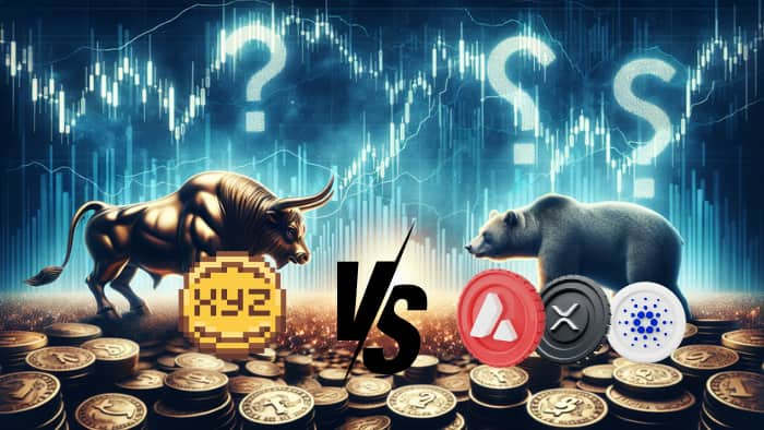 XYZ's Meme Power: How This Coin Could Unleash a over 10,000% Gain and Leave in the Dust Giants Like XRP, ADA and AVAX