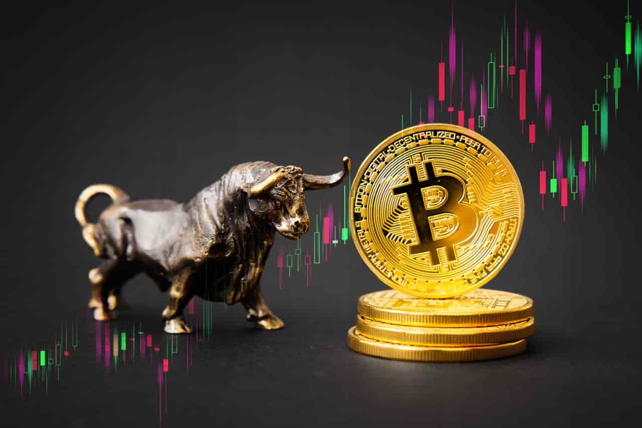 Crypto knowledgeable reveals remaining Bitcoin excessive of this bull market