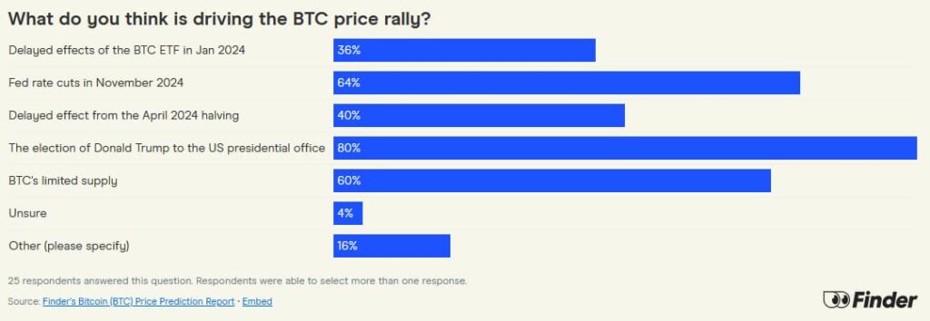 Commonly cited drivers of the Bitcoin price rally. Source: Finder