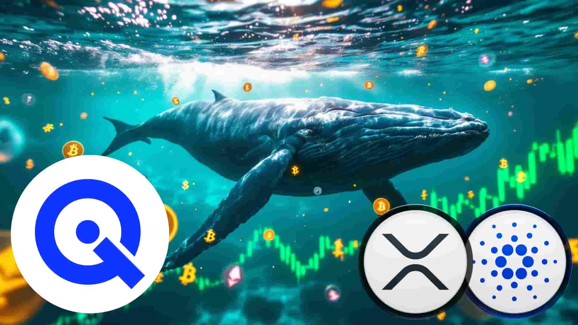 XRP Price Drags: Ripple Whale Shuffles Portfolio To Include Cardano (ADA) And WallitIQ (WLTQ) For Potential 25,000% Gains