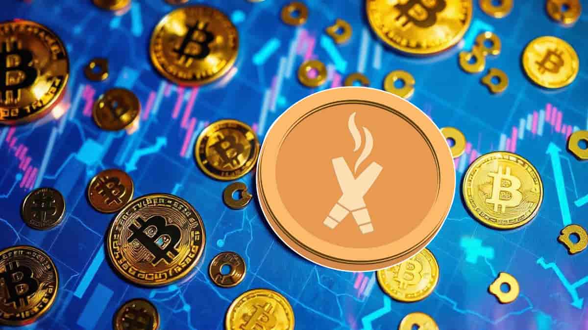 5 Top Cryptocurrency to Invest in Now: DexBoss (DEBO) is the Top Choice for  Investors