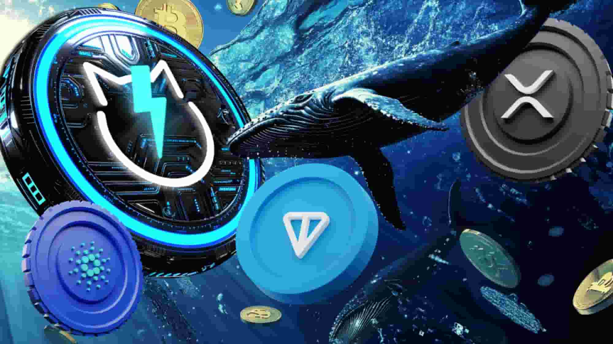 Top Trending Altcoins Whales Are Scooping Up For Altseason: Cardano, XRP, JetBolt, and Toncoin