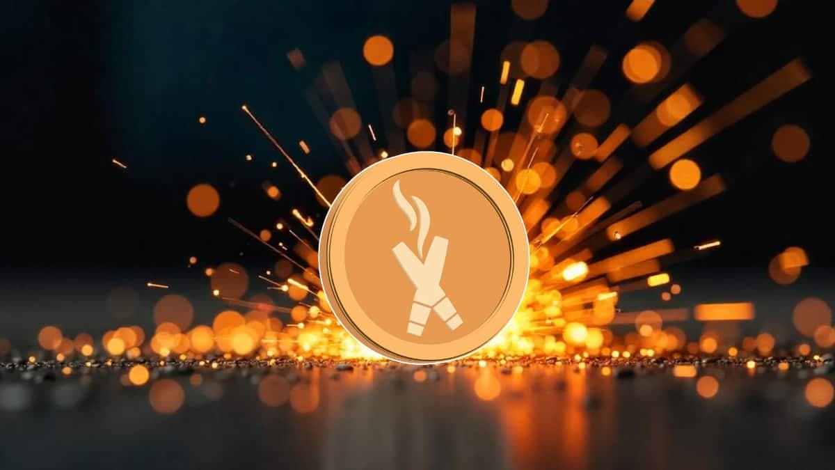 DexBoss: The Next Crypto to Explode in 2025, Plus 4 Other Coins to Watch