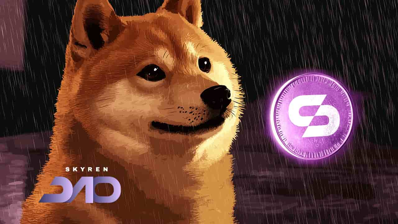 Pemegang Dogecoin menghadapi lebih banyak rasa sakit saat Skyren Dao melindungi kekayaan