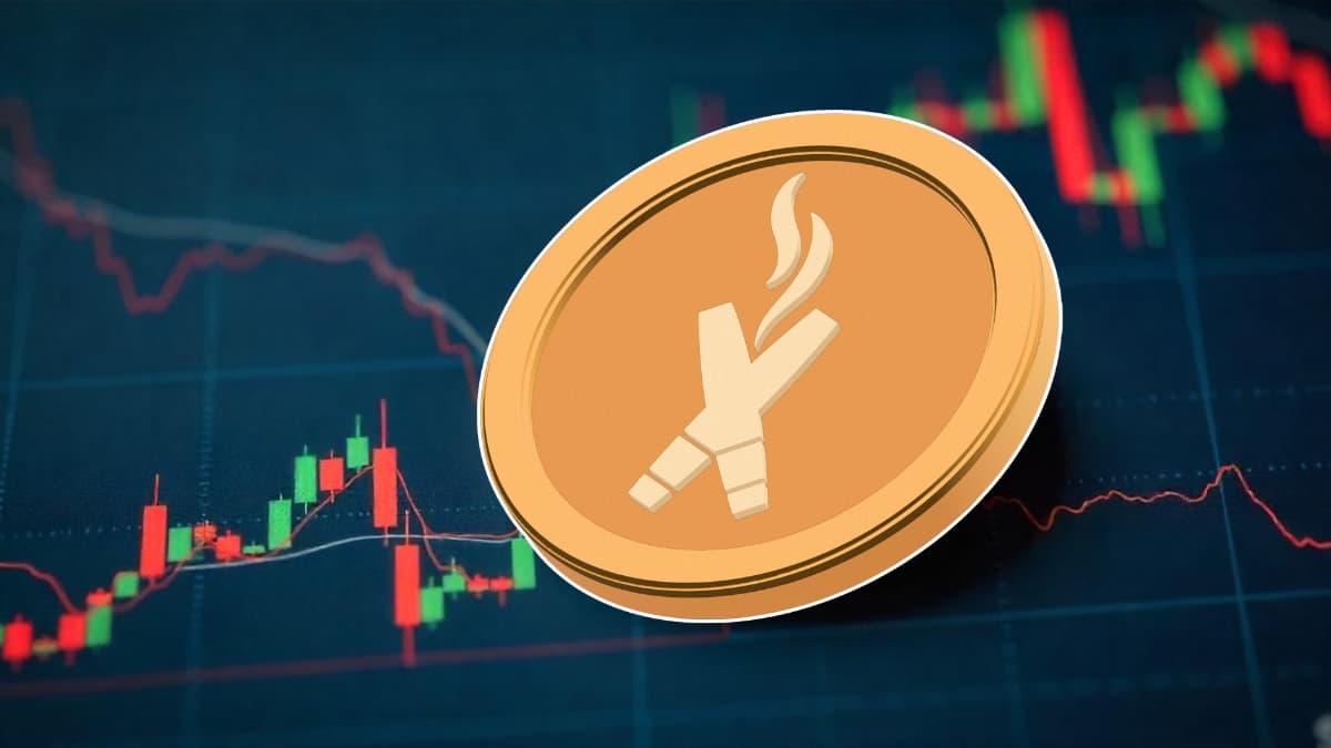 Best Crypto Pre-Sales: Exploring DexBoss— A Strategic Look at $DEBO  Tokenomics!!