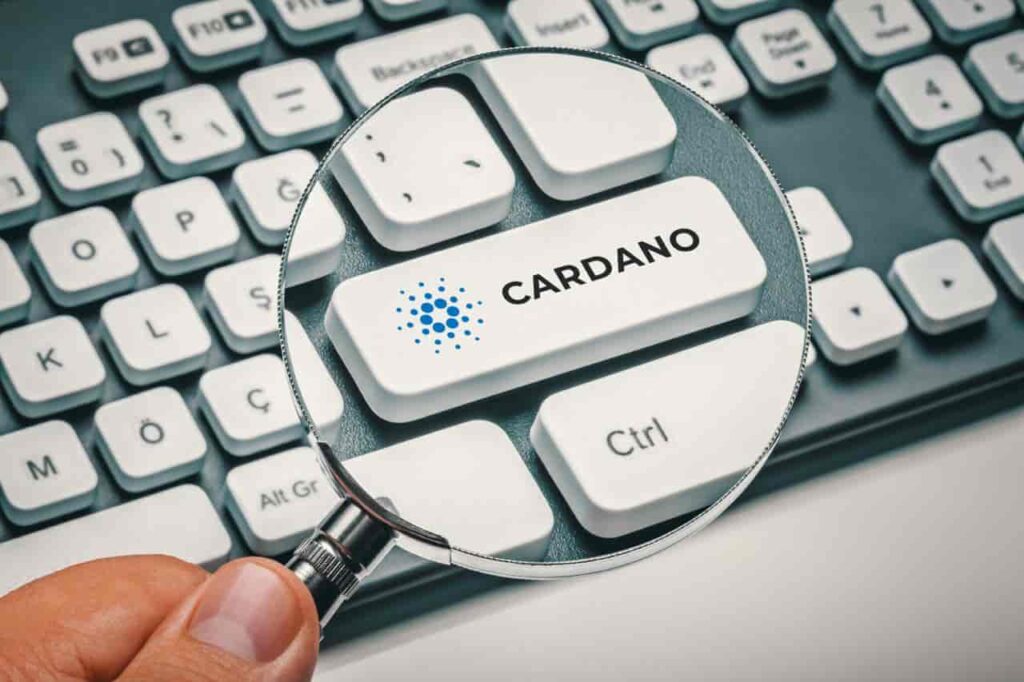 Cardano blockchain development explodes in 2025