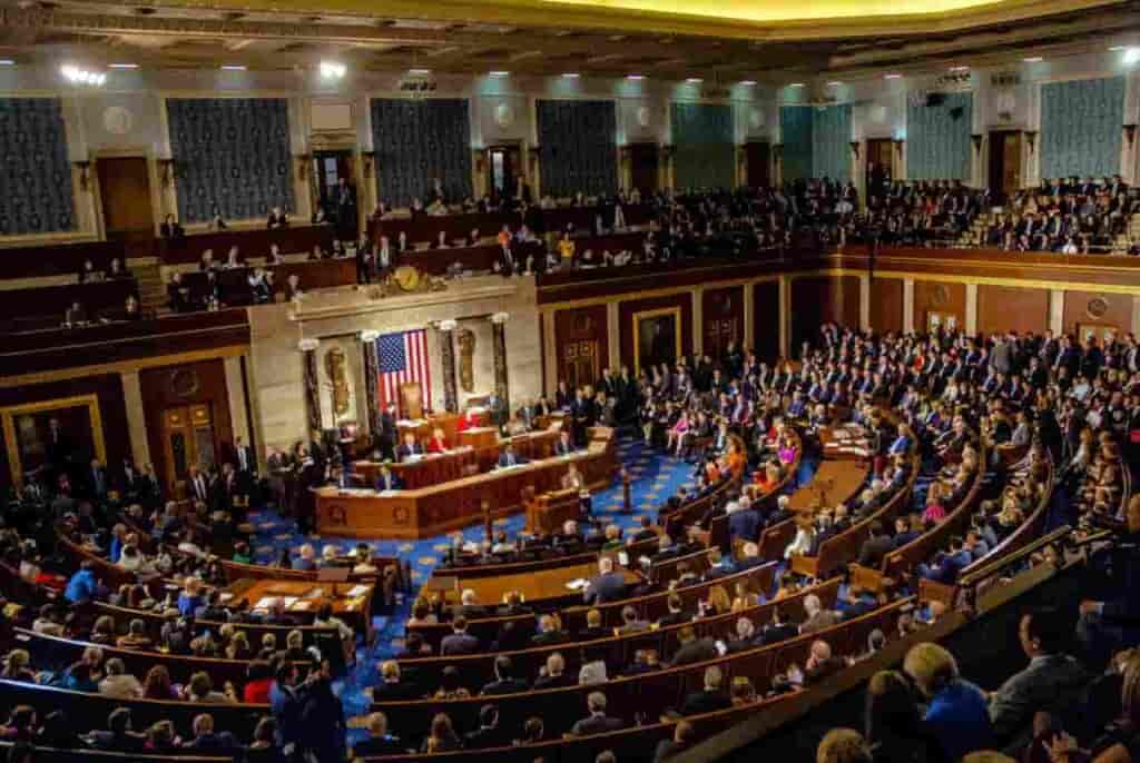 This stock is attracting Congress members ‘like blood attracts sharks’