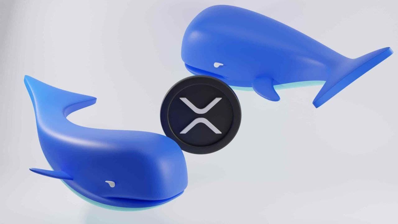 Whales buy $1.8 billion XRP in a month