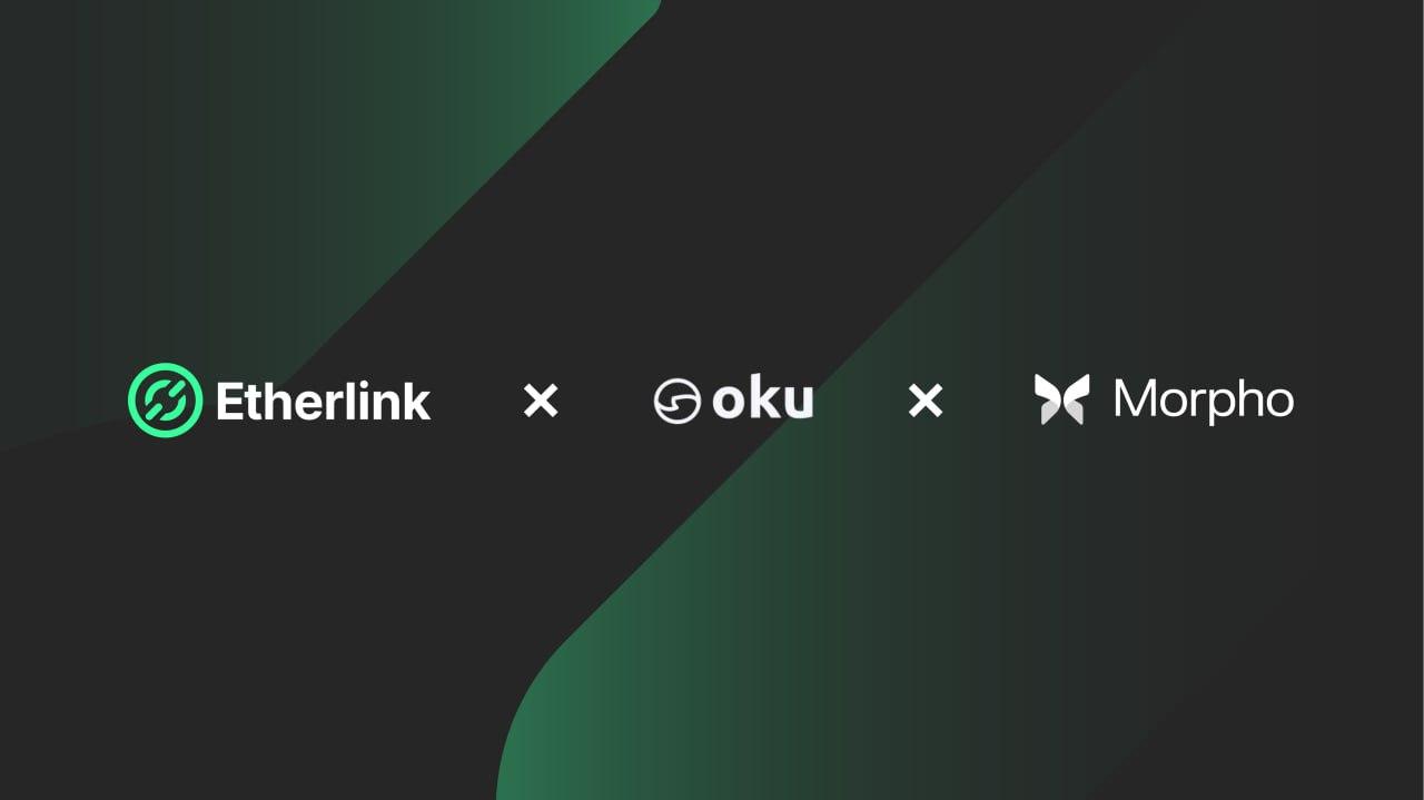 Oku Integrates Morpho Protocol on Etherlink, Bringing Advanced Lending and  Borrowing to Tezos L2