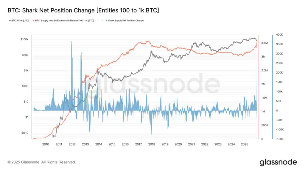 Bitcoin ‘sharks’ add over 54,000 BTC in a week as accumulation spikes