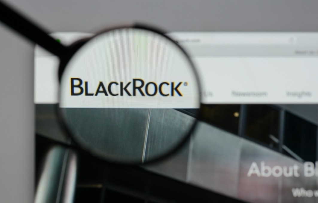 BlackRock just bought $250 million of these two cryptocurrencies