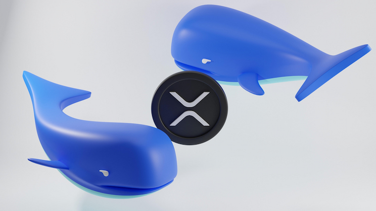 XRP accumulation spikes as whales grab 200m tokens in 2 weeks thumbnail