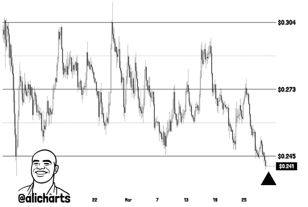 Cardano breaks critical level as analyst warns of 11% drop