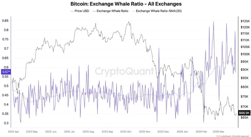 Bitcoin whales ramp up selling as bearish momentum builds