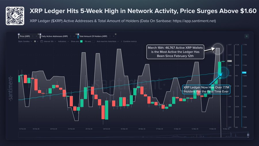 XRP network activity surges to a 13-year high