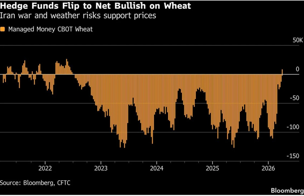 Hedge Fund wheat long and short positions.