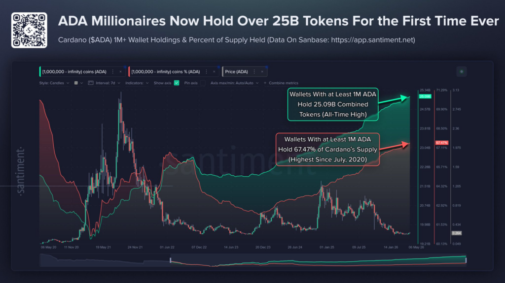 Cardano whale holdings surge to highest level since 2020